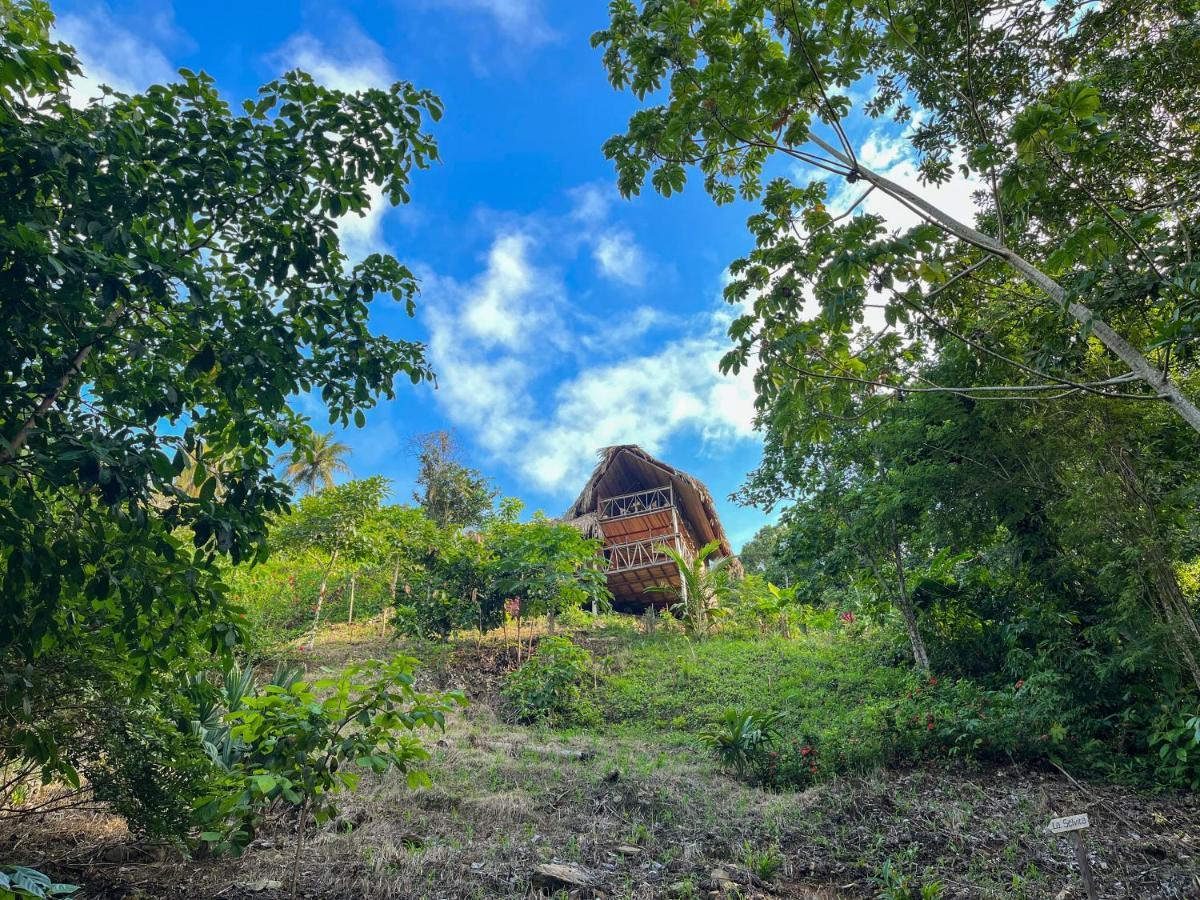 Finca La Selvita Chocolate Experience Buritaca Exteriér fotografie